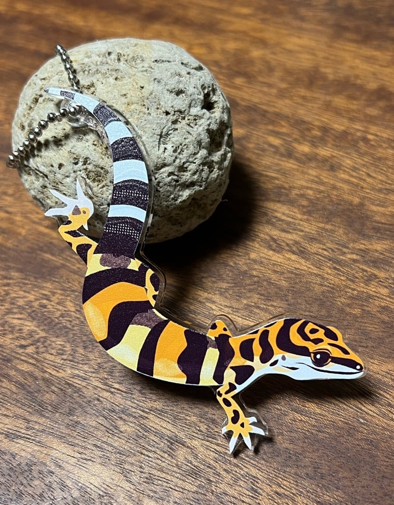 8e67be058a727c7ad362e283e275ed