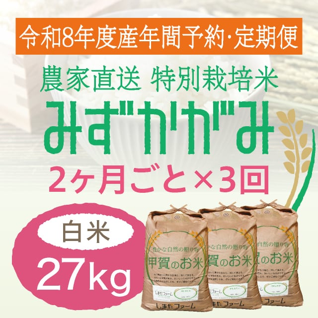 農家直送★きぬむすめ 30kg 玄米 令和7年産 年間予約・定期便〉きぬむすめ 農家直売・特別栽培米 滋賀県産・近江米