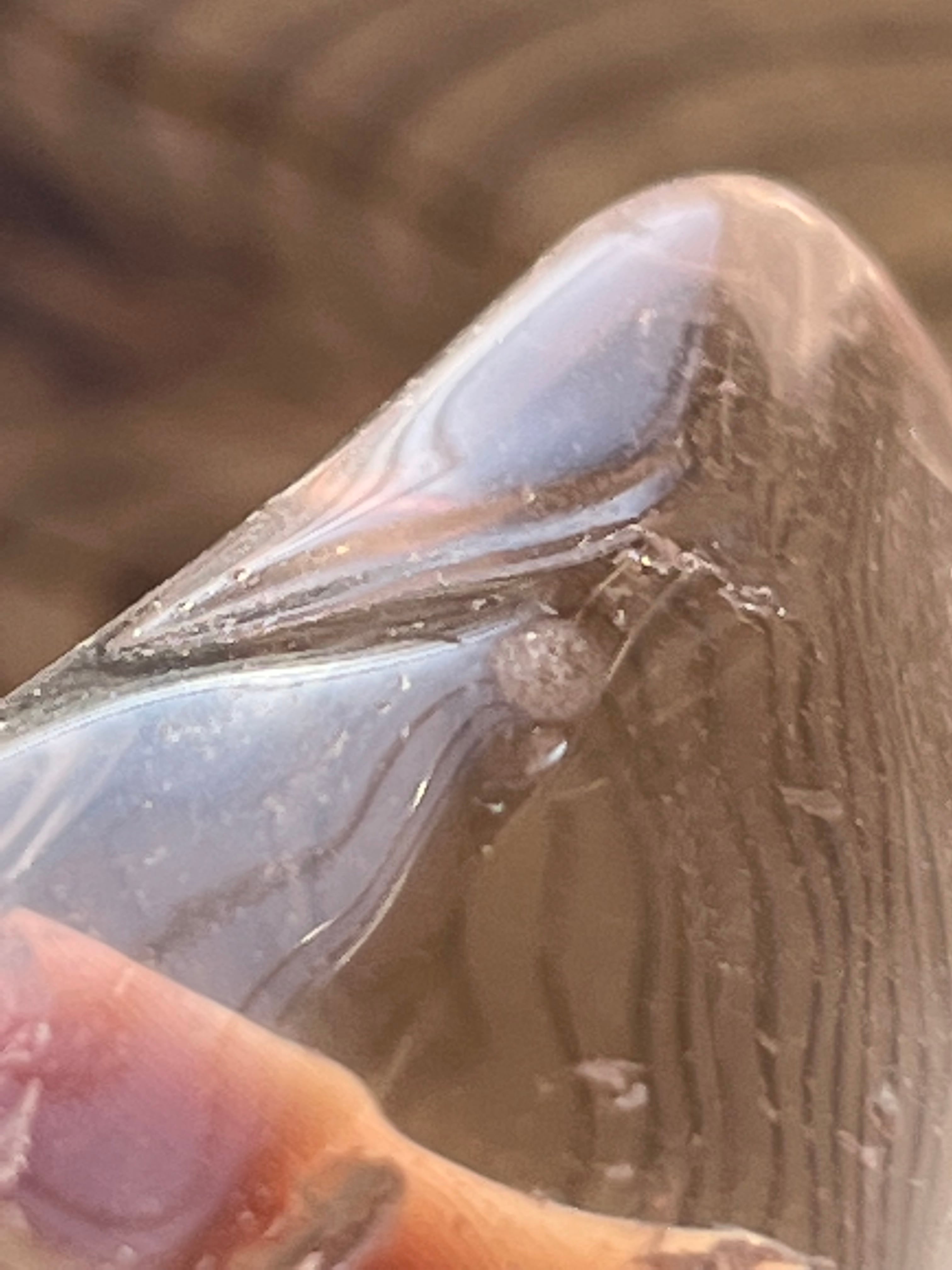 光の子であるあなた】ロシアンレムリアン タンブル | amenti crystal 光の子であるあなた】ロシアンレムリアン タンブル | amenti crystal