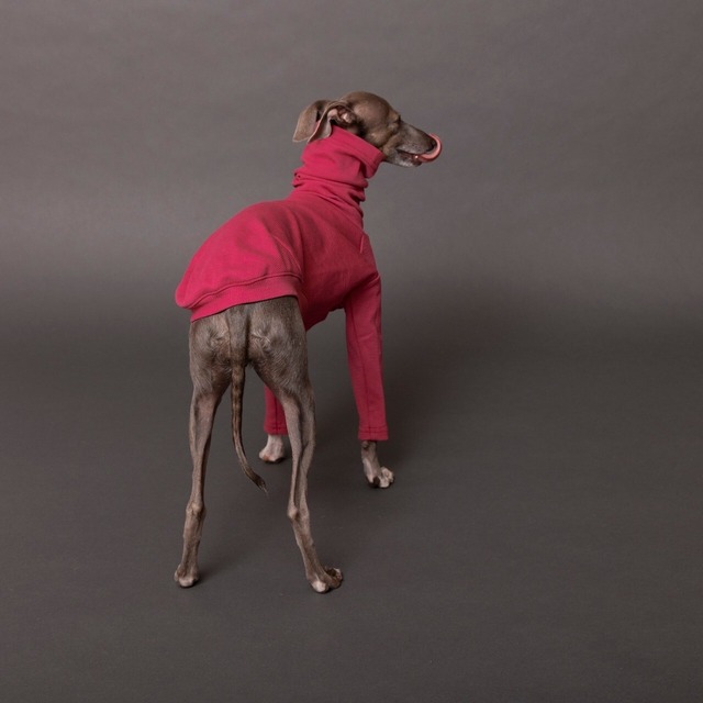 ハイネックタートルロングTシャツ　pink / イタグレ服