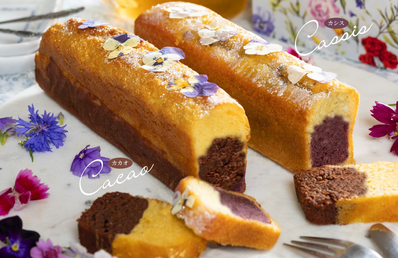 宝塚すみれケーキ カカオ | MAGNOLIA（マグノリア）