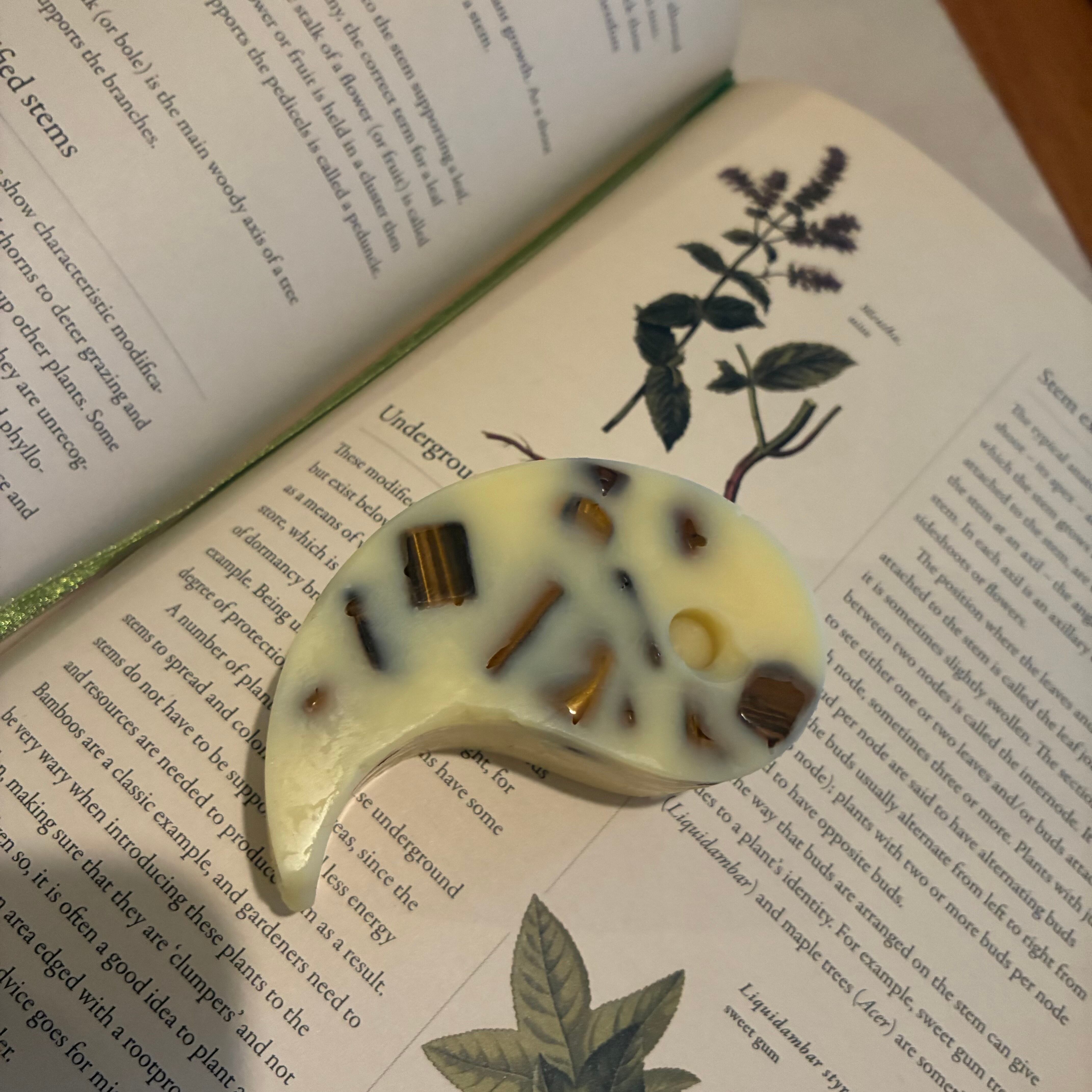 「陰陽マッサージバーセット(特別版)」Yin and yang massage bar set ( special edition )