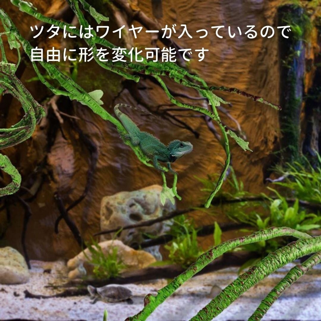 テラリウム 完成品 40cm(苔テラリウムの販売|苔の盆栽妙 テラリウム 完成品 40cm(苔テラリウムの販売|苔の盆栽妙