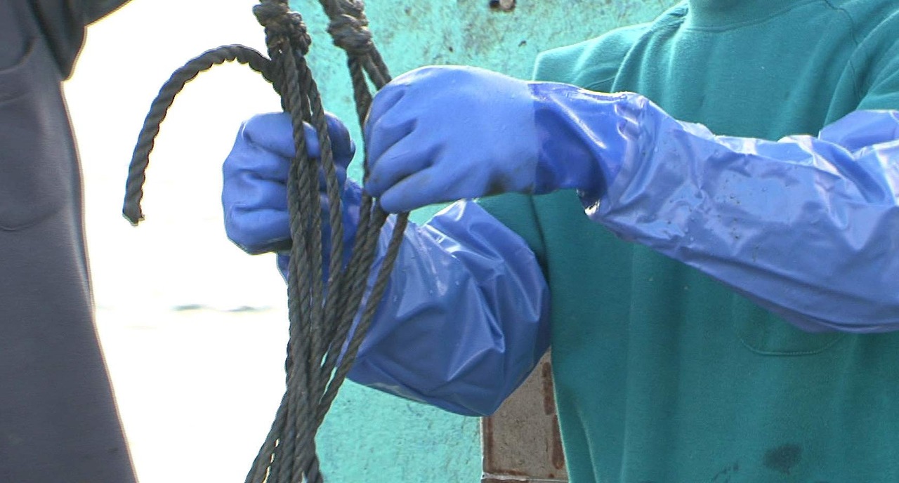 ショーワグローブ 【耐油】No.695腕カバー付耐油ビニローブ Lサイズ 1双