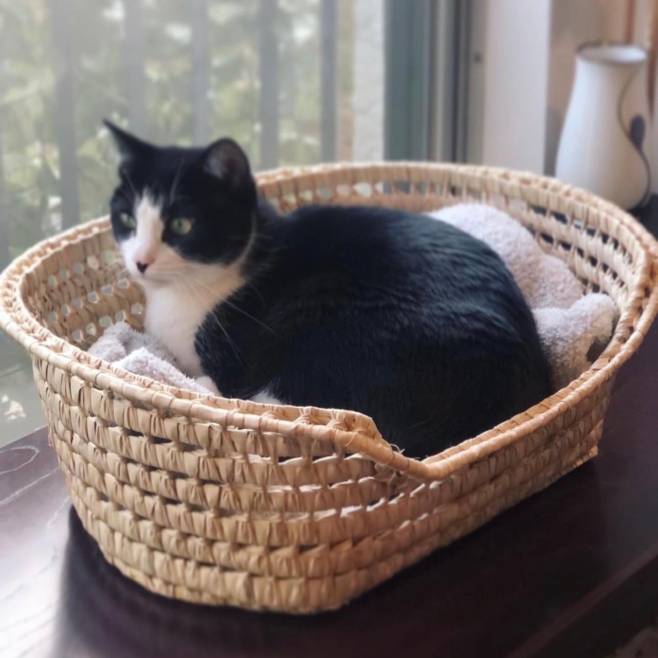 モロッコの水草猫かご Heirloom エアルーム Clothing Fabrics