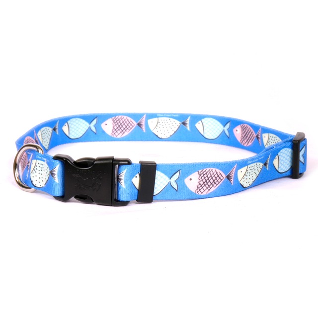 Go Fish　首輪＋リードセット　XS サイズ - Yellow Dog Design