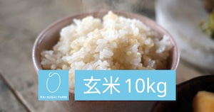 【2023年新米】玄米：10kg「新潟県産コシヒカリ」