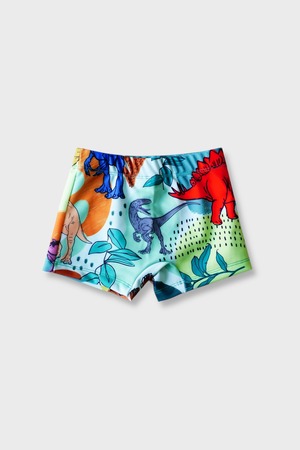 〈 Bartulos 25SS 〉 Short Swim "スイムショーツ / 水着" / DINOS