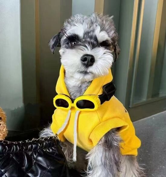 《予約》№1103110 イエロー半袖パーカー