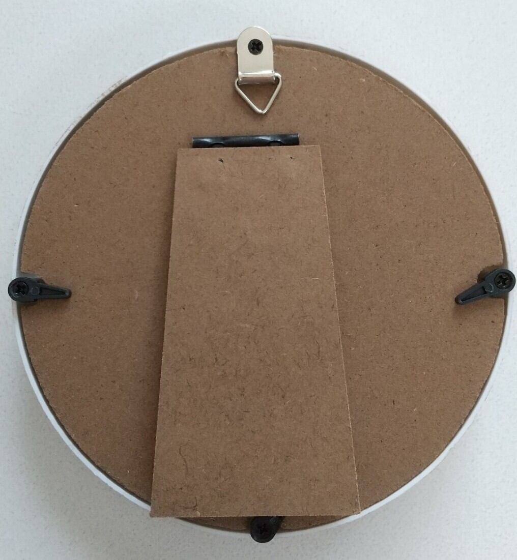 原画】クレステッドゲッコー フレーム付き | 膤麿