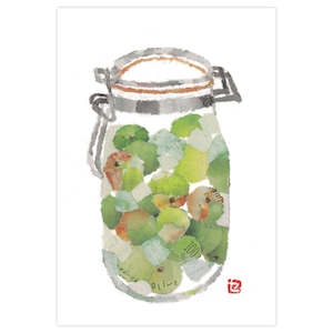 ポストカード（梅酒）