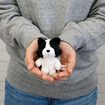 Dogs 2026 キーホルダー ボーダーコリー 10cm/NICI(ニキ)