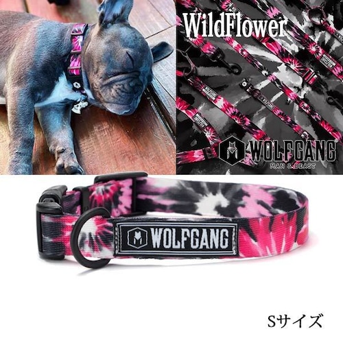 WildFlower COLLAR Sサイズ 首輪 WOLFGANG ウルフギャング アメリカ 小型犬