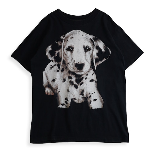 Dalmatian