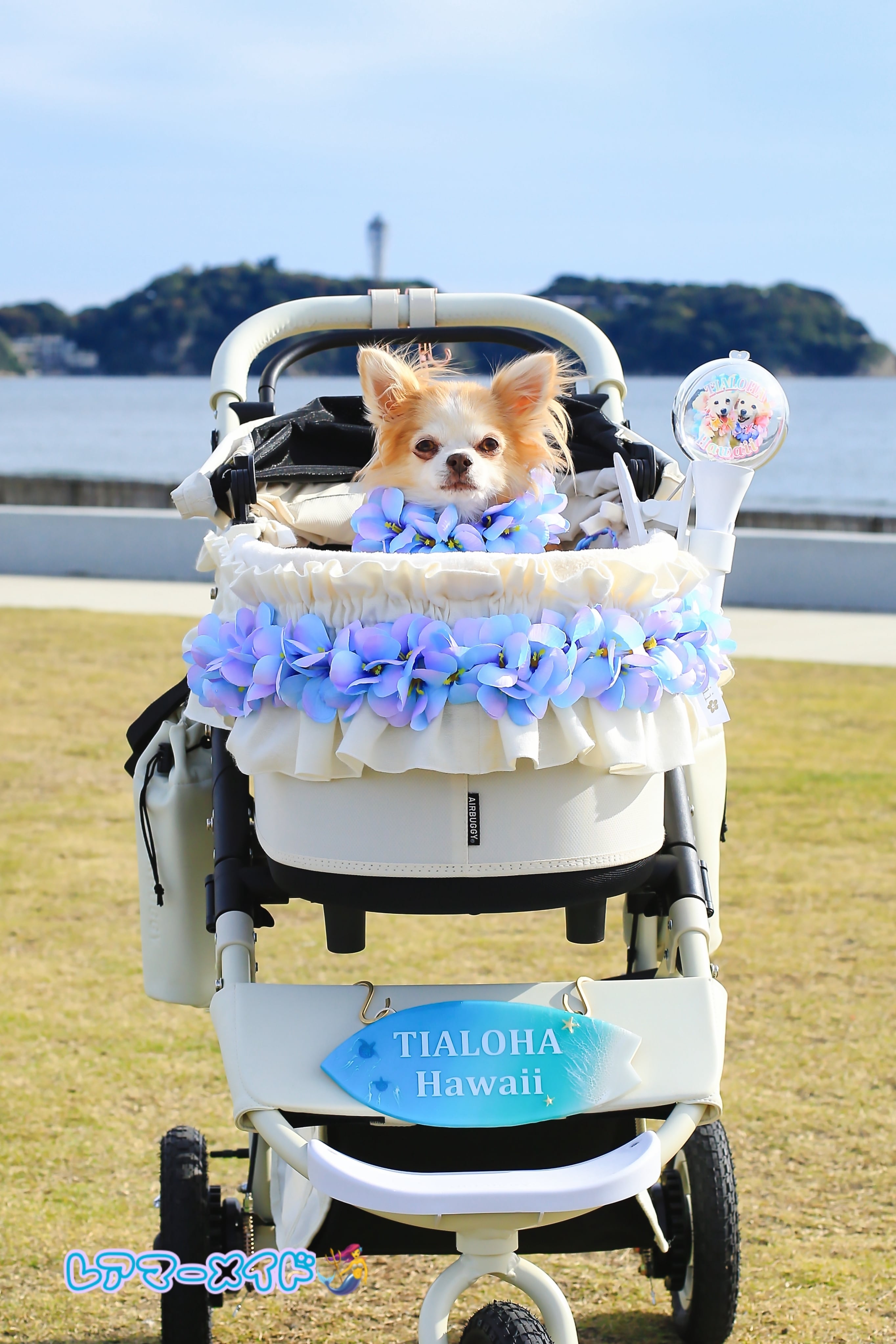 バギーカートレイ