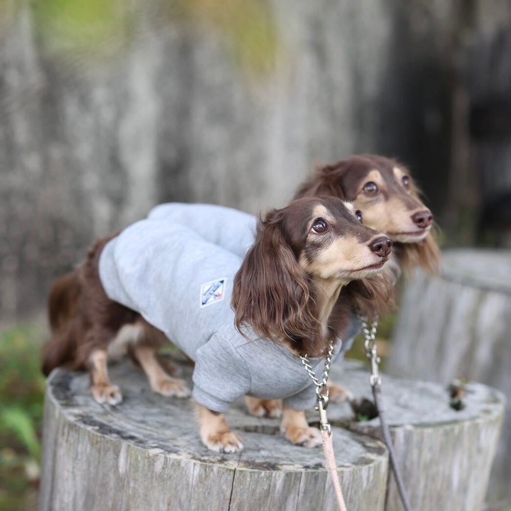お揃いスウェット(ダンボールニット)【ご愛犬用】 | カニンヘン