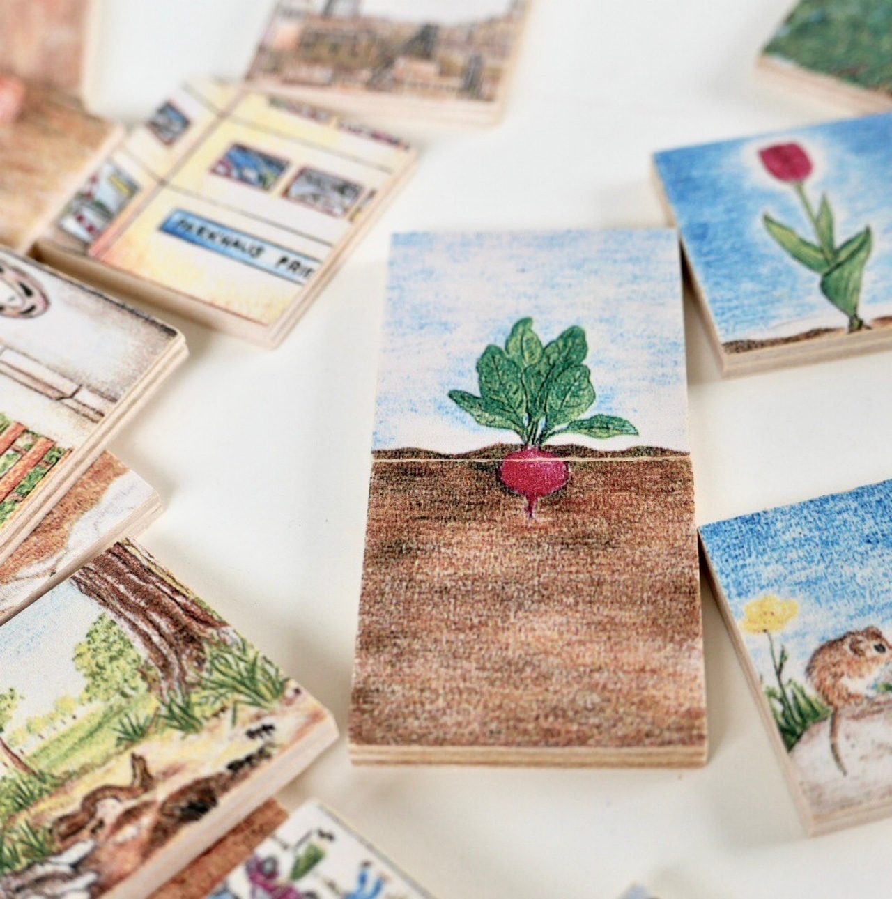 デュシマ社 地下メモリー