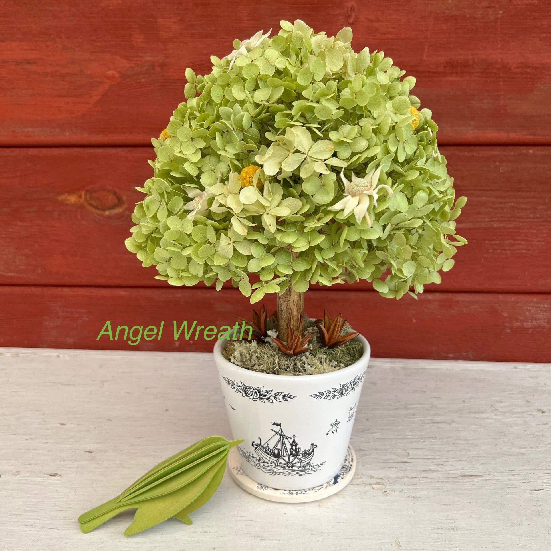 グリーンアナベルのトピアリー(withムーミンカップ) | エンジェル