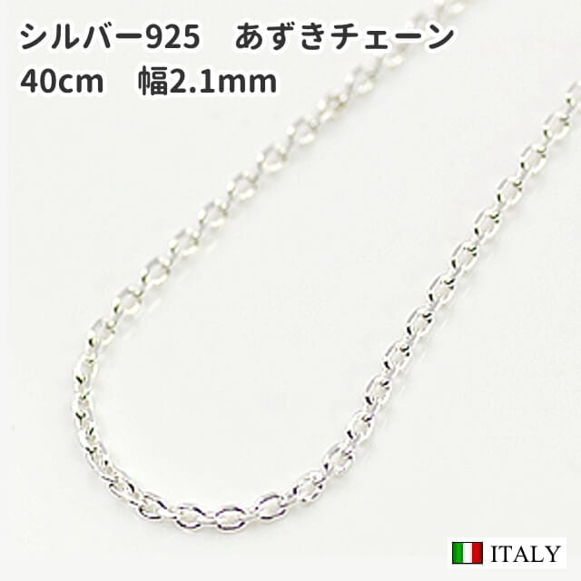 92】フランス アンティーク 銀製 メダイ ネックレス カニ刻印 ガラス