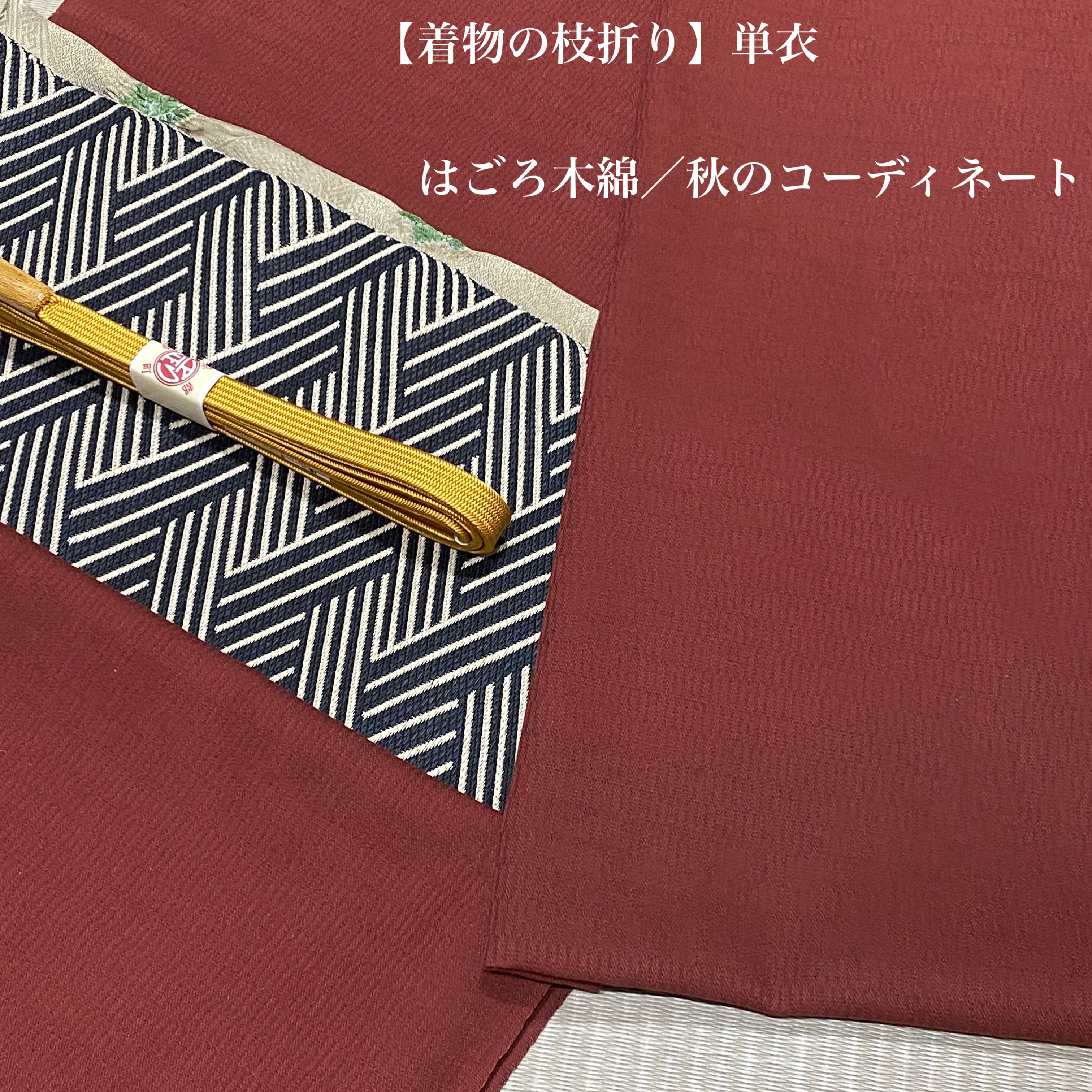 はごろ木綿 反物 1817 はごろ木綿 反物 1817 | 着物遊日ねこやなぎ
