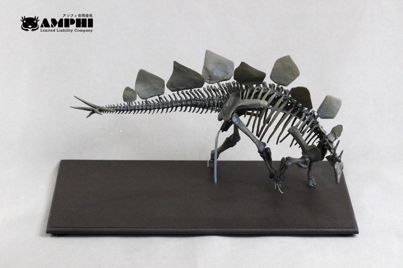 ステゴサウルス 縮小全身骨格レプリカ 1/20スケール | アンフィ合同会社
