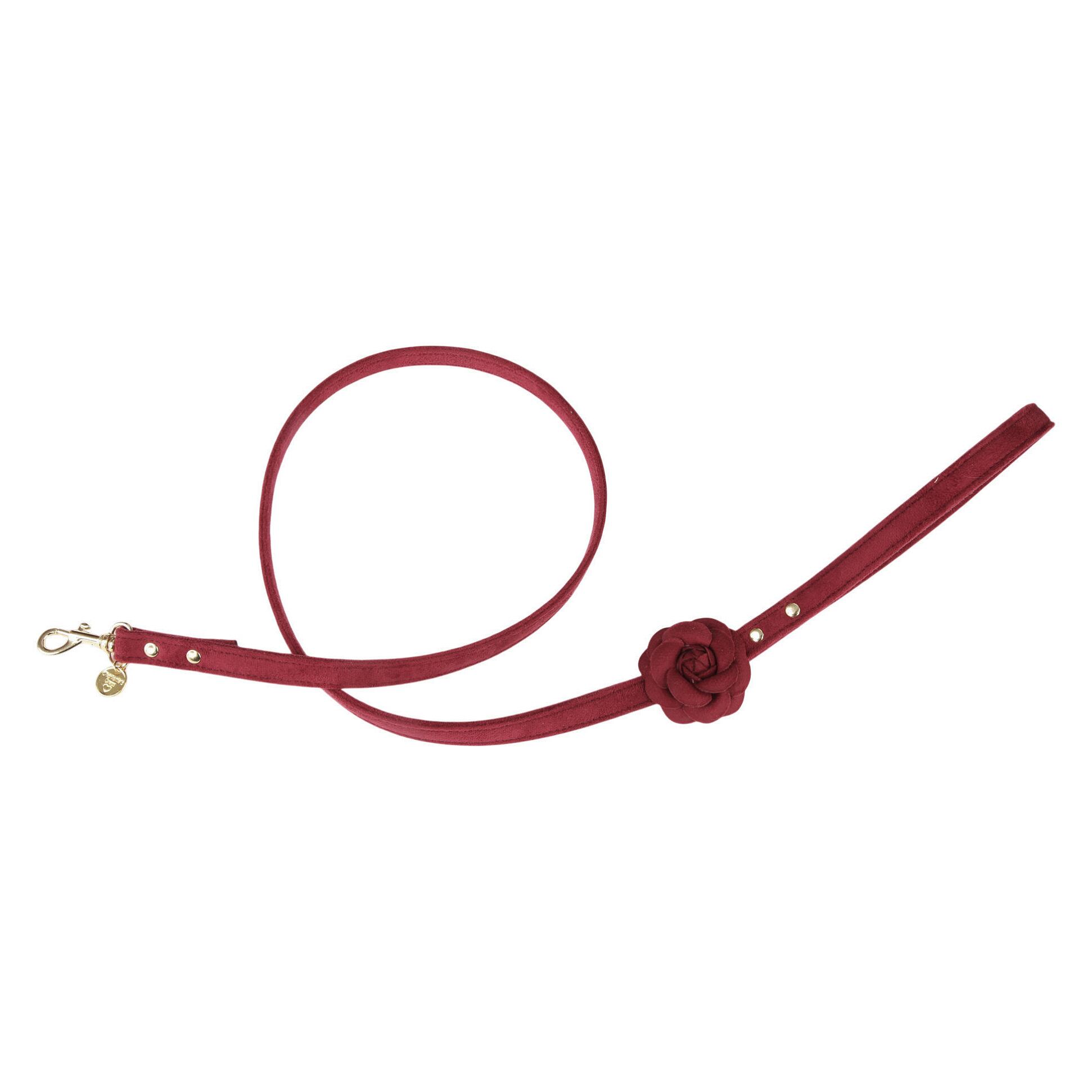 Art. h1671NV Vip leash Scarlet / Charlotte's Dress
