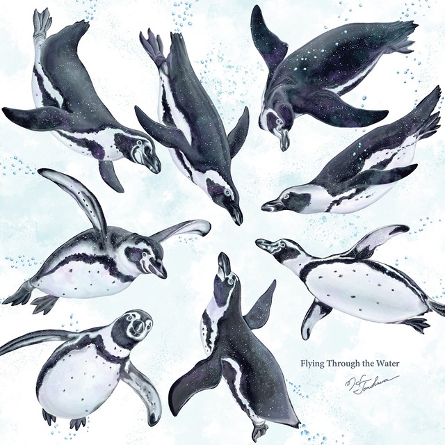 【ハンドタオル】ペンギン飛行隊