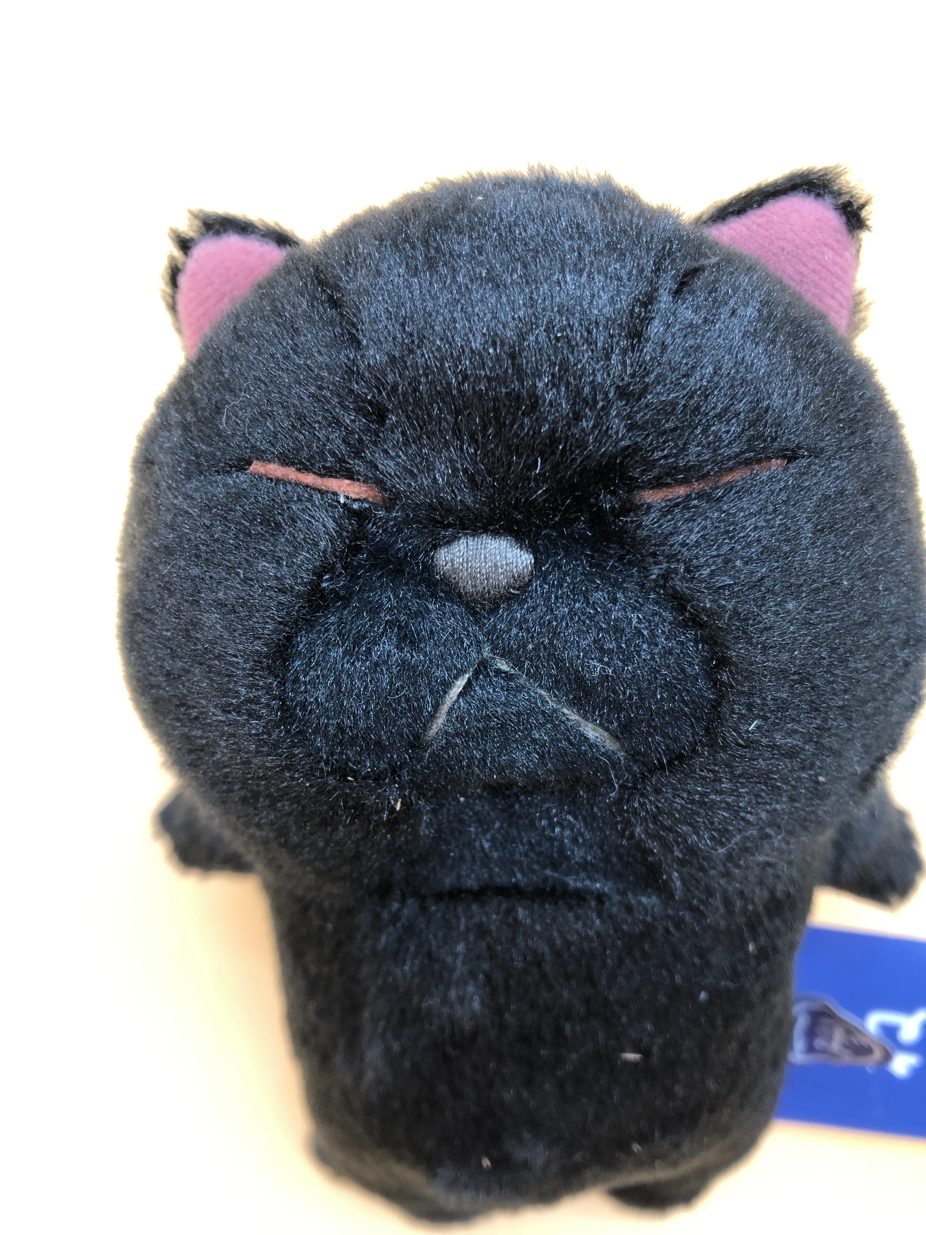猫のエプロンぬいぐるみ ぼうねこ | catslife