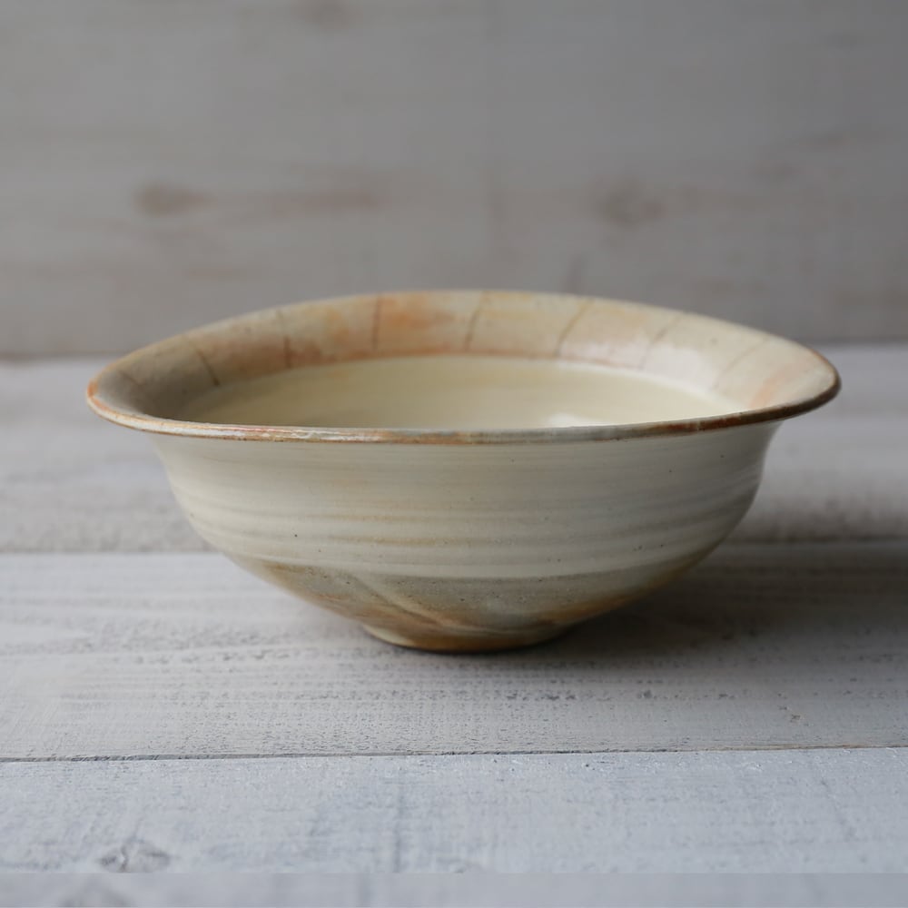 たて鉄線 たわみ盛鉢 中