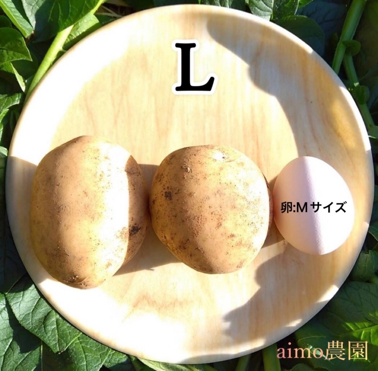 新じゃが M〜2L 20kg(箱別)・画像3