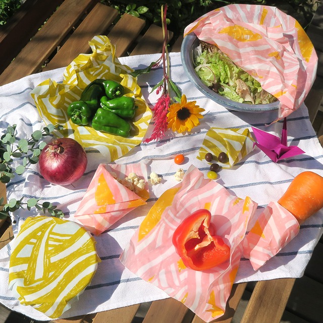 発掘カードケース