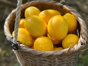 はれやかレモン 5kg