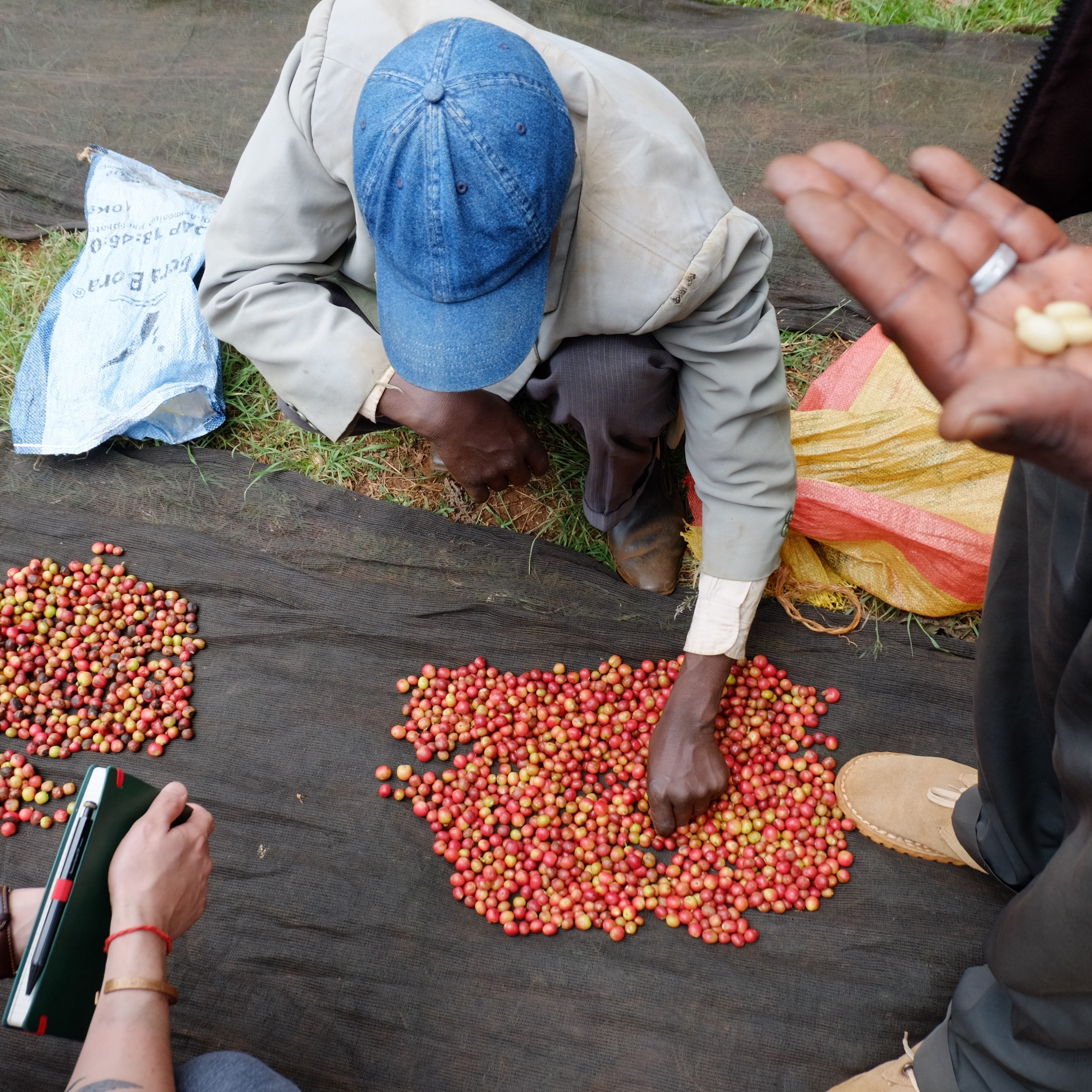 ケニア エンデベス ナチュラル 150g スペシャルティコーヒー｜浅煎り〜中深煎り｜フルーティー & ジューシー｜ハンドドリップに最適