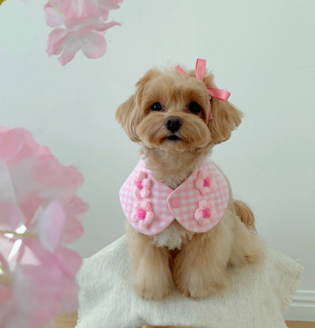 即納【pet million】Flower Ribbon Bib