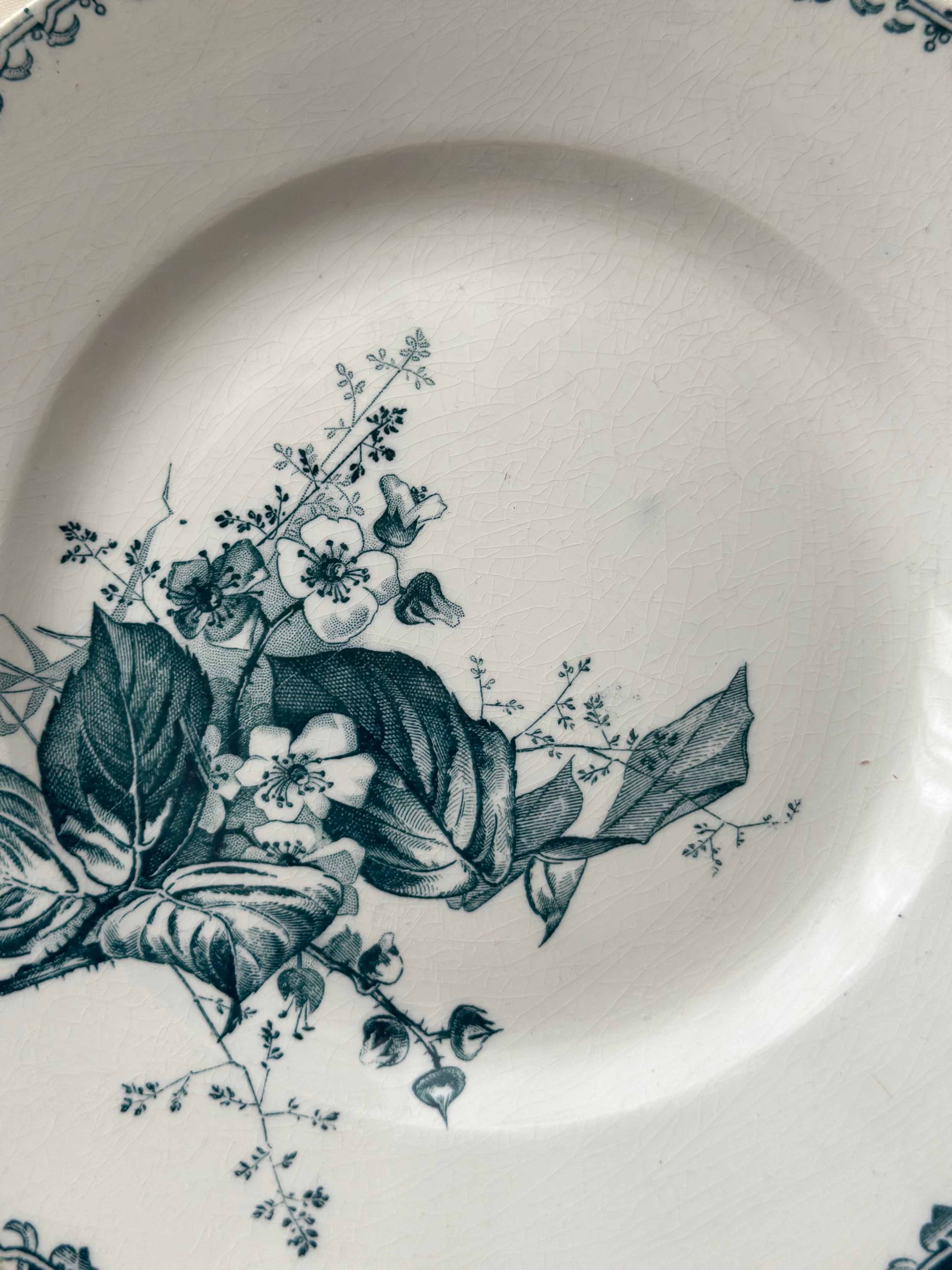 Sarreguemines サルグミンヌ / “MURES” デザートプレート | VIRON