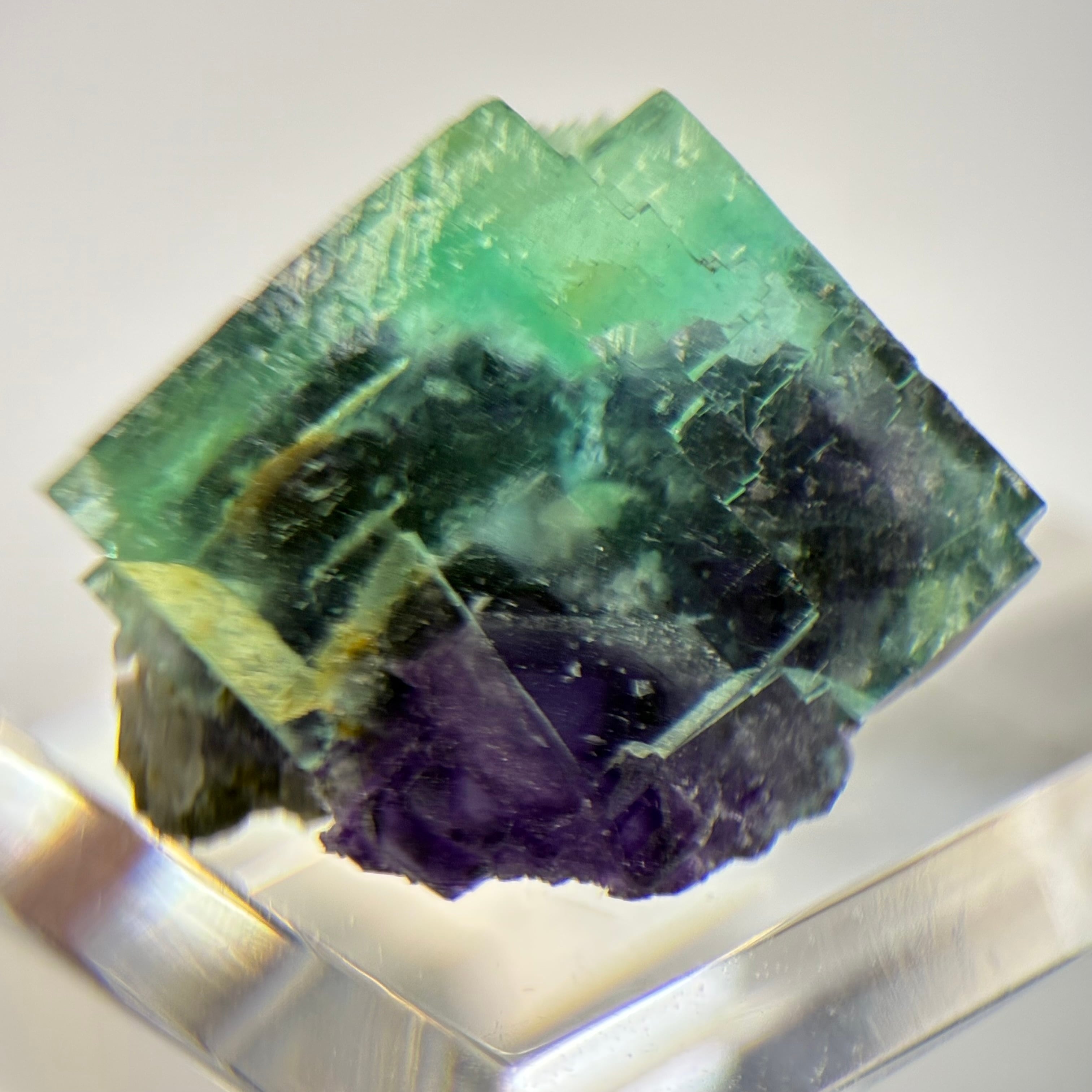 フローライト | World Minerals 世界中の鉱物原石の販売店