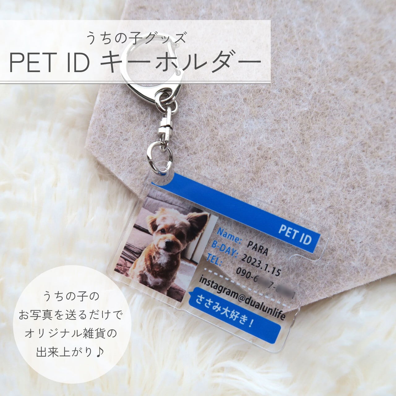 PET IDカード風キーホルダー