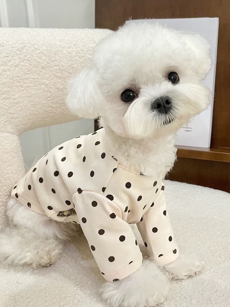 〖予約〗T0151 ドットトップス