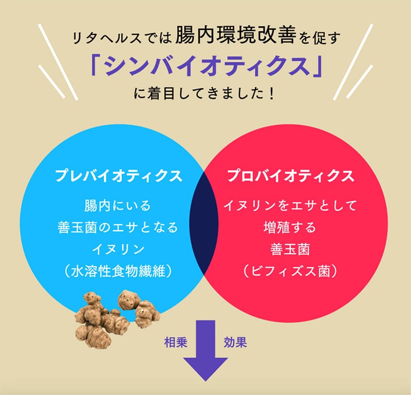 母の日ギフト【機能性表示食品】菊芋の極み 単品2袋