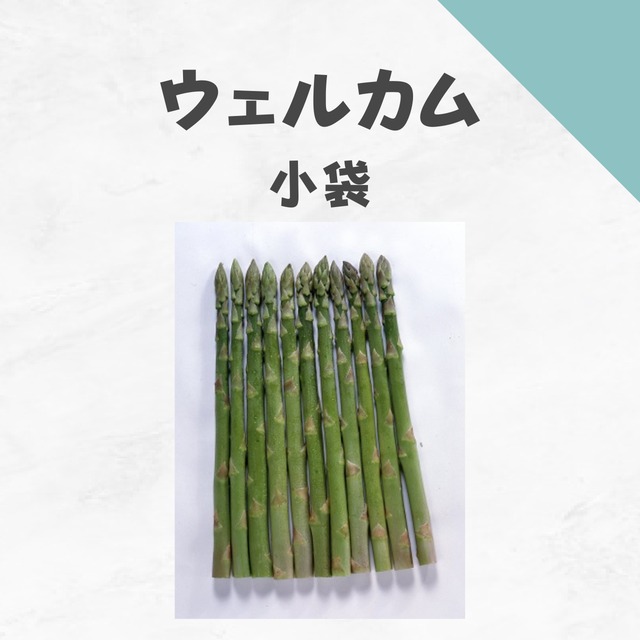 ウェルカム　アスパラ種子・小袋