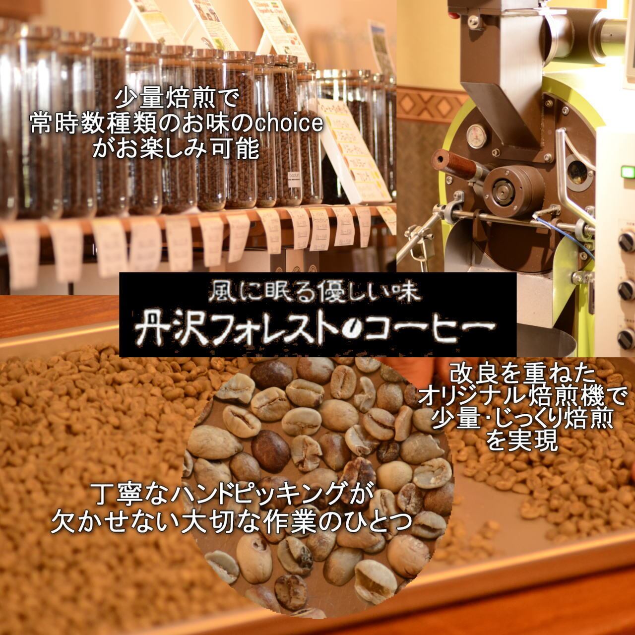 ブラジルパンタノ 豆200g 丹沢フォレスト珈琲 | naturaluce