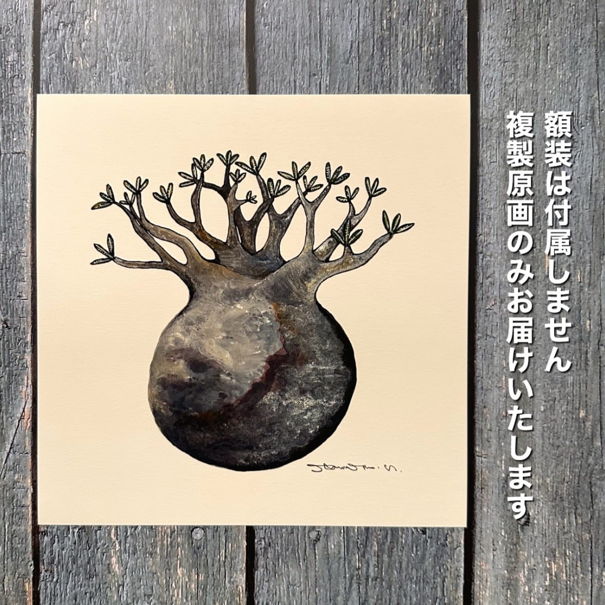 地球を感じるグラキリス】複製原画 | BOKUTO