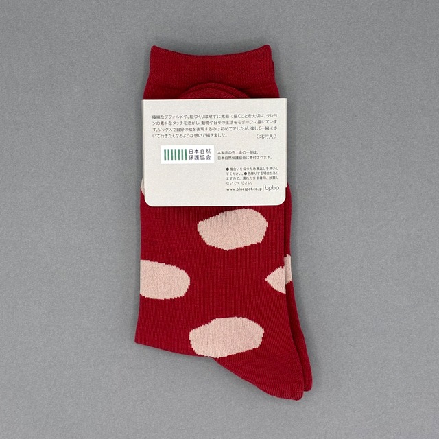【JIN KITAMURA】北村人 SOCKS DOT POODLE ソックス ドット 黒猫