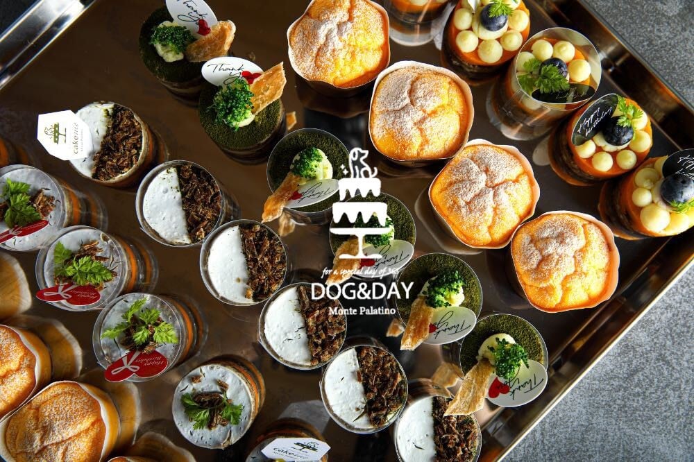 かぼちゃのカップケーキ＆シュークリームセット | DOG&DAY