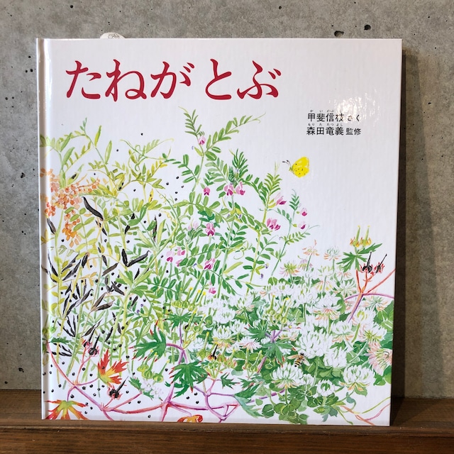 たねがとぶ　新刊