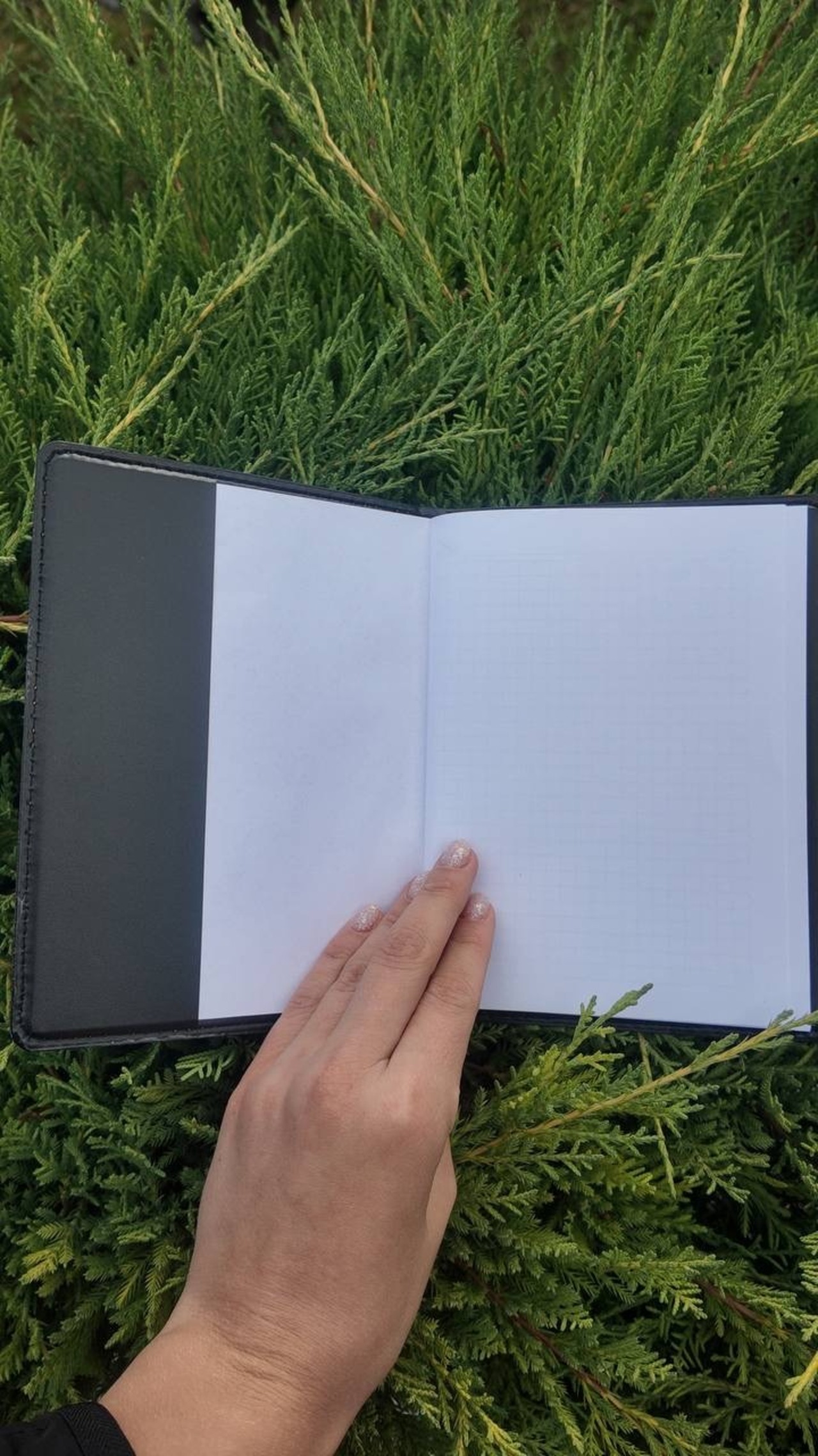 ペトリキフカカバー＋ノート 18 cm（ホメンコ） - 9