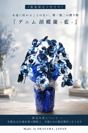 【受注生産｜デニム胡蝶蘭】 -藍-   3本立ち  <受注生産品>