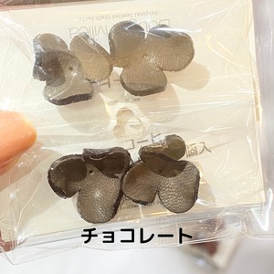 【アウトレット】ビオラ花型Mサイズ４個入