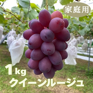 クイーンルージュ１kg（家庭用ぶどう）