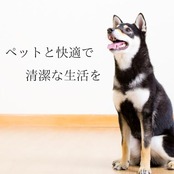 JOYPET(ジョイペット) 天然消臭剤オシッコのニオイ・汚れ専用詰替ジャンボパック450ml